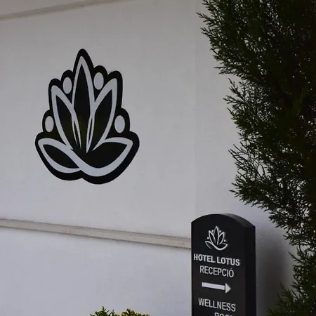 Lotus 2*